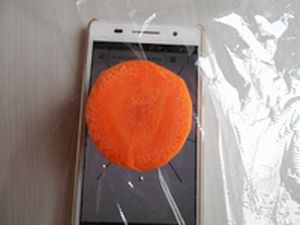 Make a star with carrot1