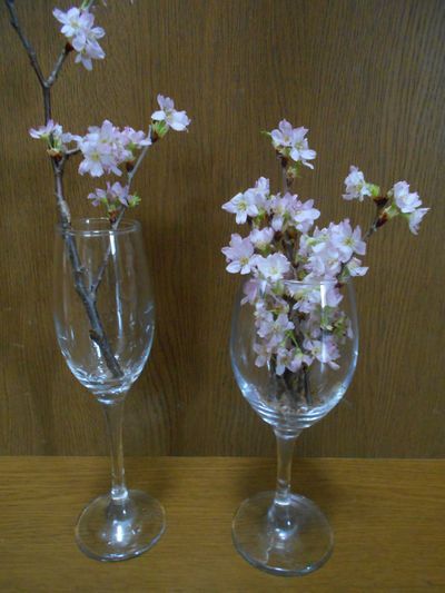 桜の枝を花瓶に飾る 簡単な生け方や飾り方 四季のメモノート